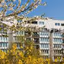Vorschaubild 2 Zimmer-Essplatz und Terrasse im Wedding - nur mit WBS mit besonderem Wohnbedarf !!